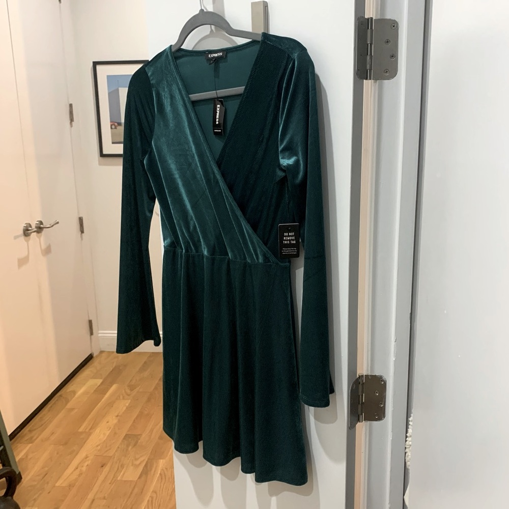 Express Green Velour Winter Dress